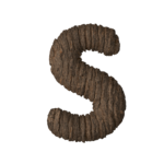 Letter S with Bark Texture