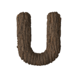 Letter U with Bark Texture